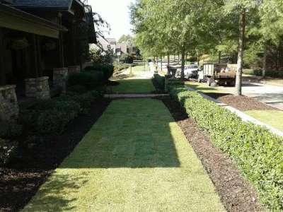 Deep Roots Landscape, LLC - Seasonal Yard Cleaning in Gainesville, GA
