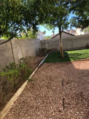 Desert Gardens - Tree & Shrub Care in Las Vegas, NV