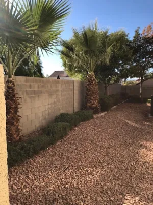 Desert Gardens - Tree & Shrub Care in Las Vegas, NV