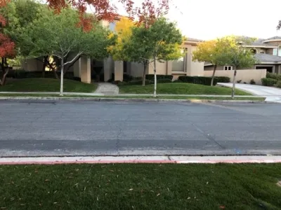 Desert Gardens - Tree & Shrub Care in Las Vegas, NV