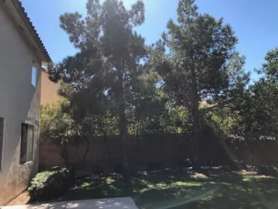 Desert Gardens - Tree & Shrub Care in Las Vegas, NV