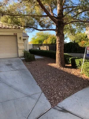 Desert Gardens - Tree & Shrub Care in Las Vegas, NV
