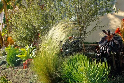 Spanish Landscape Hancock Park by Bosler Earth Design