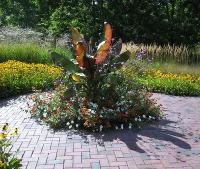 Designing Nature Inc. - Landscape Maintenance in Hamel, MN