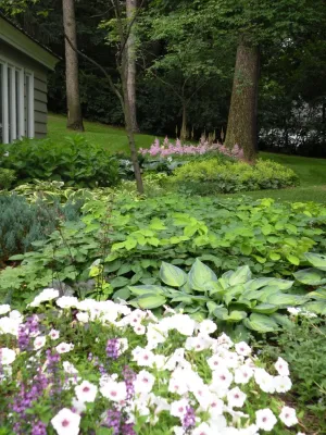 Designing Nature Inc. - Landscape Maintenance in Hamel, MN