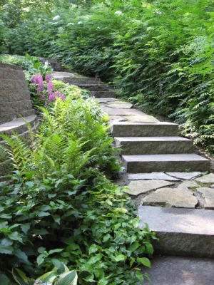 Designing Nature Inc. - Landscape Maintenance in Hamel, MN