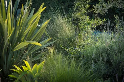 A Low Maintenance Colorful Landscape-Ladera Height by Bosler Earth Design