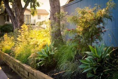 Ranch Bungalow - Manhattan Beach — Landscape Design project by Bosler Earth Design