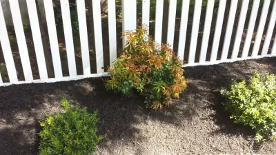 Diamond Cut Landscape Design - Sidewalk & Pathway Installation in Washington Township, NJ