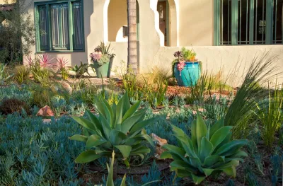 A Natural Refuge - Hollywood — Landscape Design project by Bosler Earth Design in Los Angeles