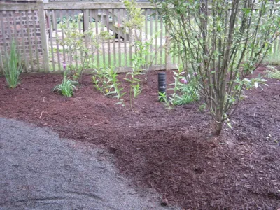 Dig Right In Landscaping, Inc. - Lawn Aeration in Westchester, IL