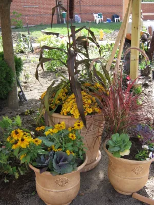 Dig Right In Landscaping, Inc. - Lawn Aeration in Westchester, IL
