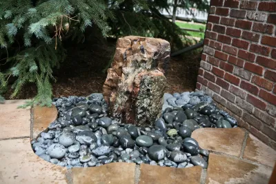 Diggable Designs Landscape Construction, LLC. - Tree & Shrub Care in Denver, CO