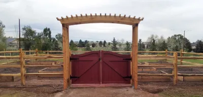 Diggable Designs Landscape Construction, LLC. - Tree & Shrub Care in Denver, CO