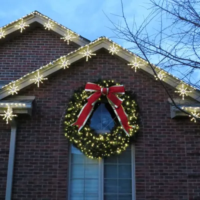 Diggable Designs Landscape Construction, LLC. - Tree & Shrub Care in Denver, CO