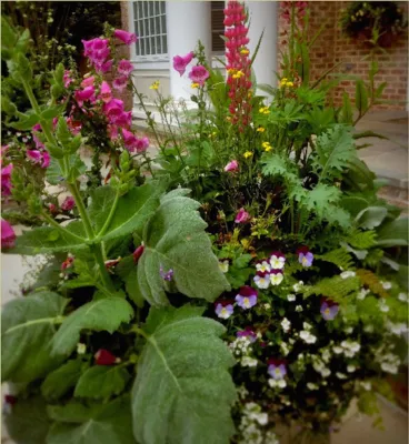 Dirty Girl Gardening - Landscape Construction in Pipersville, PA