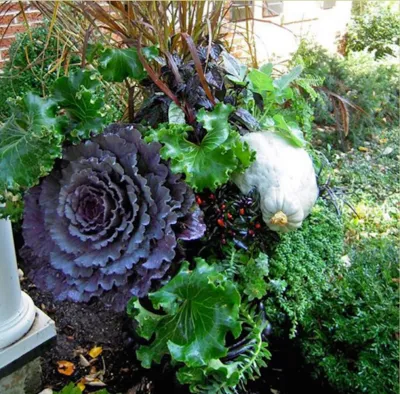 Dirty Girl Gardening - Landscape Construction in Pipersville, PA