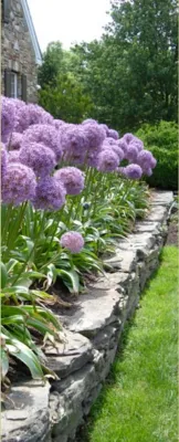 Dirty Girl Gardening - Landscape Construction in Pipersville, PA