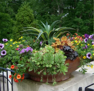 Dirty Girl Gardening - Landscape Construction in Pipersville, PA