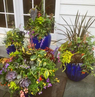 Dirty Girl Gardening - Landscape Construction in Pipersville, PA