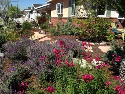 Dirty Roots Gardening - Landscape Design in Long Beach, CA