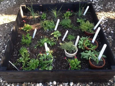 Dirty Roots Gardening - Landscape Design in Long Beach, CA