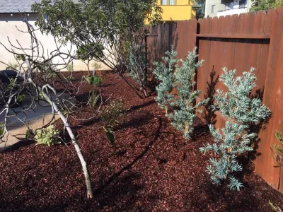 Dirty Roots Gardening - Landscape Design in Long Beach, CA