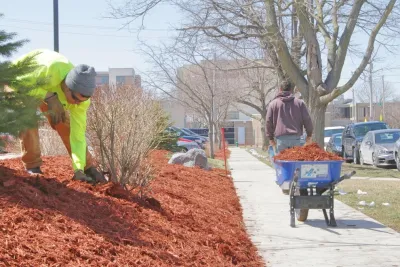 Distinctive Landscapes - Landscape Maintenance in Ames, IA