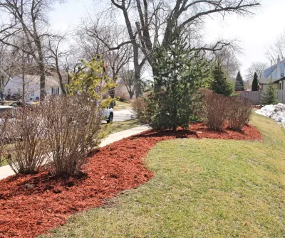 Distinctive Landscapes - Landscape Maintenance in Ames, IA