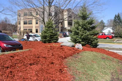 Distinctive Landscapes - Landscape Maintenance in Ames, IA