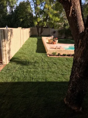 Divine Creations - Landscape Design in Scottsdale, AZ