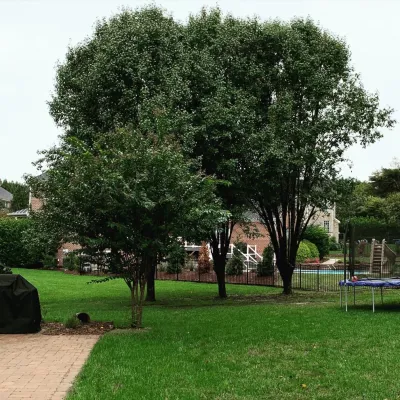 Dixon & Company Inc. - Landscape Construction in High Point, NC