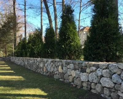 DLTC Landscape Contractors - Land Cleaning in Bridgeport, CT