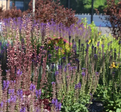 DLTC Landscape Contractors - Land Cleaning in Bridgeport, CT