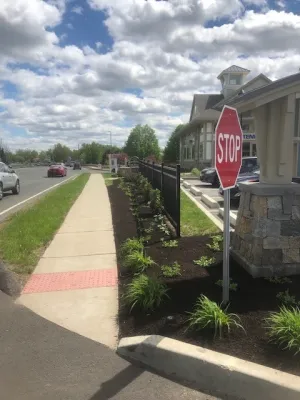 One Buckland South - Commercial Flowers. South Windsor by Donnellan & Sons Landscaping