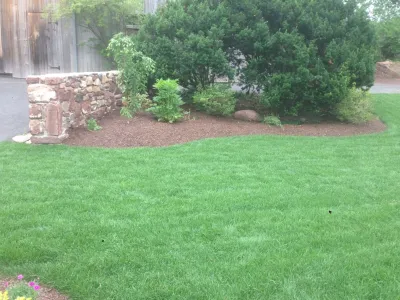 Farmington Turf Project by Donnellan & Sons Landscaping