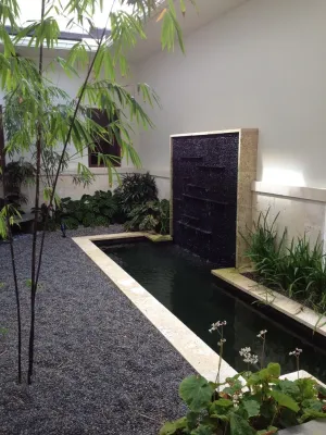 Botanical Visions - Patio Design & Installation in Boca Raton, FL
