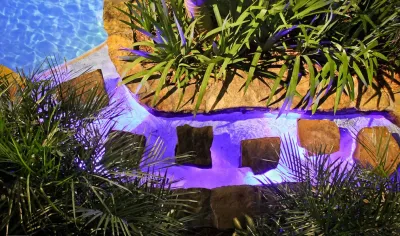 Botanical Visions - Patio Design & Installation in Boca Raton, FL
