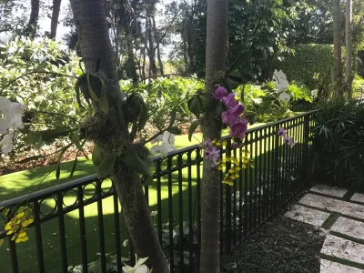 Outdoor Project — Landscape Design project by Botanical Visions