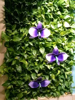 Living Wall Project — Landscape Design project by Botanical Visions
