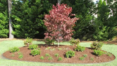 Dr. Dan's Landscaping & Architectural Design - Garden Remodeling in Virginia Beach, VA