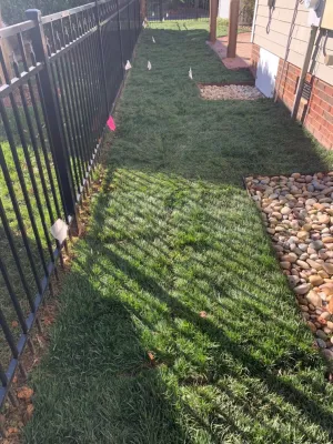 Jose Santos Landscaping - Tree & Shrub Care in Charlotte, NC