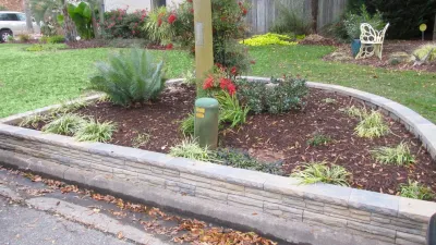 Take Me to the Tropics — Landscape Construction project by Dr. Dan's Landscaping & Architectural Design
