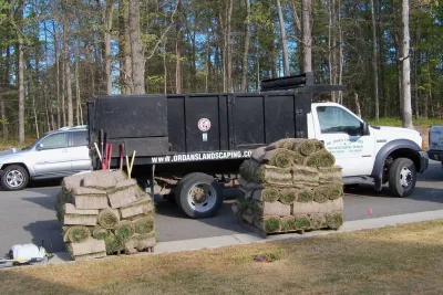 Sod Installation Project — Landscape Construction project by Dr. Dan's Landscaping & Architectural Design