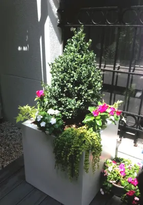 Lafayette St, Manhattan — Landscape Construction project by Dragonetti Brothers Landscapes in New York