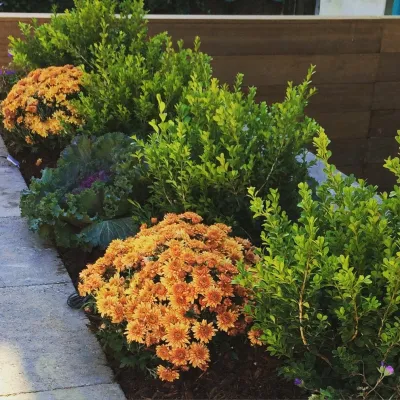 Raised Planter Design - New York — Landscape Construction project by Dragonetti Brothers Landscapes in New York