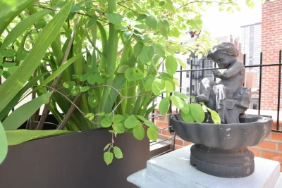 Dragonetti Brothers Landscapes - Lawn Aeration in Brooklyn, NY