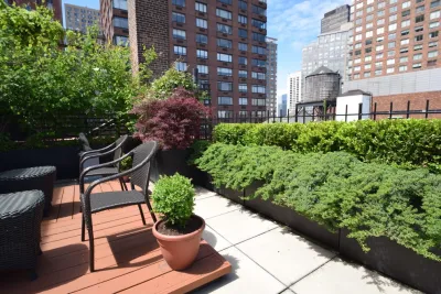 Dragonetti Brothers Landscapes - Lawn Aeration in Brooklyn, NY