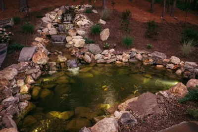 Dragonfly Ponds & Patios LLC - Tree Planting & Transplanting in Sterling, MA