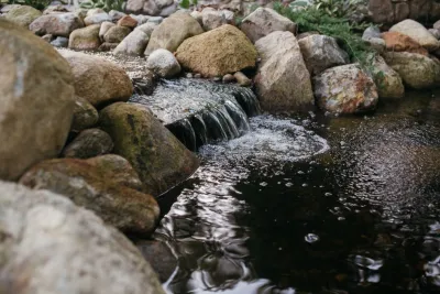 Dragonfly Ponds & Patios LLC - Tree Planting & Transplanting in Sterling, MA